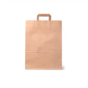 sacs kraft